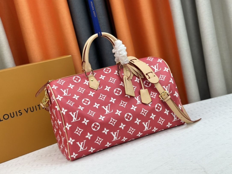 LV Travel Bags